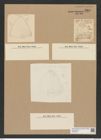 Triceratium decorum Grev. (de-Toni-Nr.: Genus 140, Species 3813) Zeichnungen Sammlung Grunow Nr. 7309 (NHMW-BOT-W0376342)